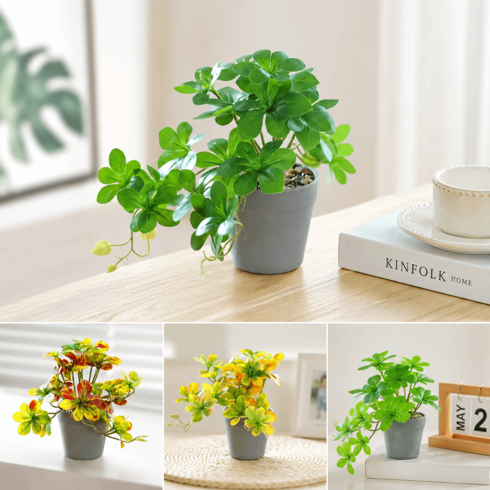 Spider Plant Hanging - Bonsai Artificial Bonsai Plant Artificial Spider