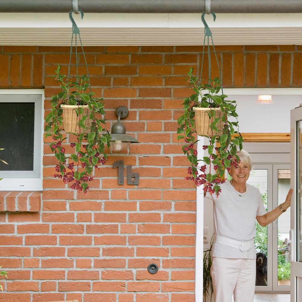 Spider Plant Hanging - 5Pcs Hanging Planter Hooks Versatile -Saving