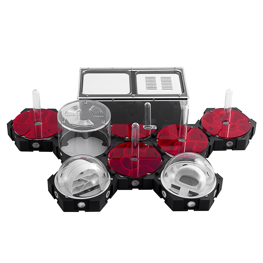 3D Printing Ant Farm Infinitel - Begonia Rex ulasan dan harga