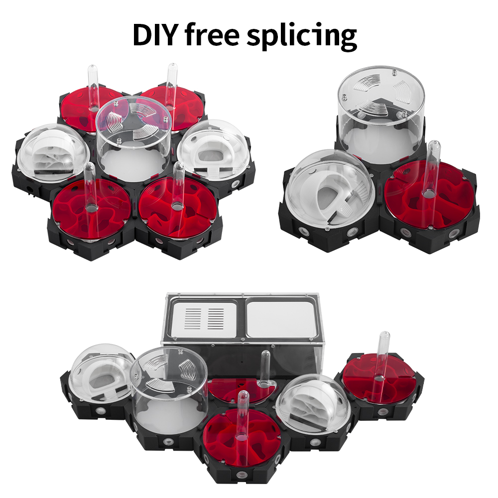 3D Printing Ant Farm Infinitel - Begonia Rex ulasan dan harga