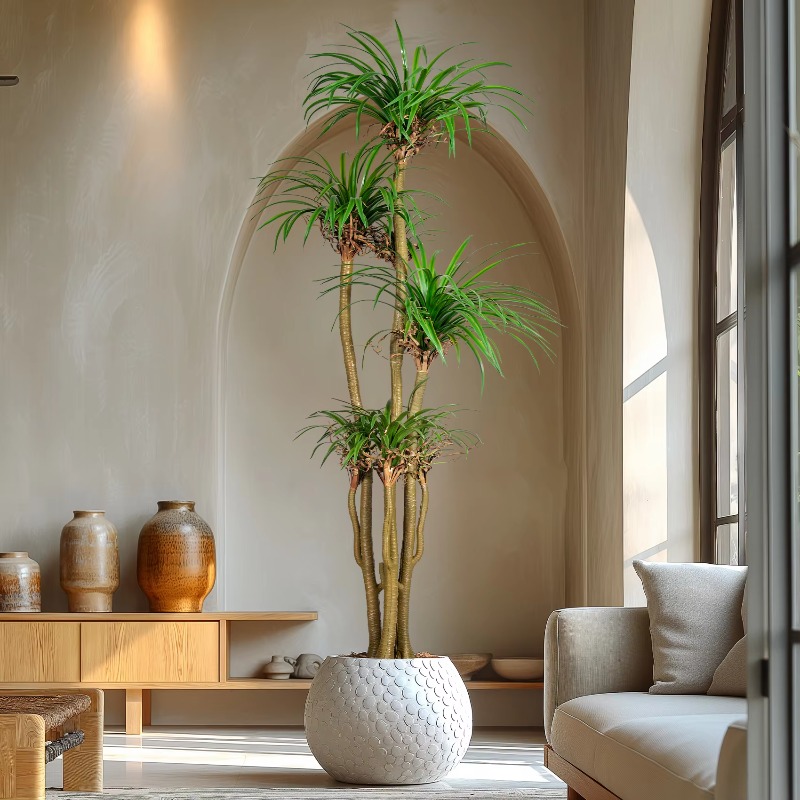 Indoor/Outdoor Home Tree Simul - Dracaena Marginata ulasan dan harga