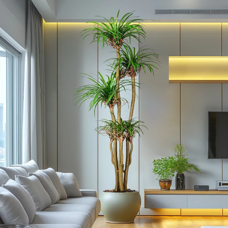 Indoor/Outdoor Home Tree Simul - Dracaena Marginata ulasan dan harga