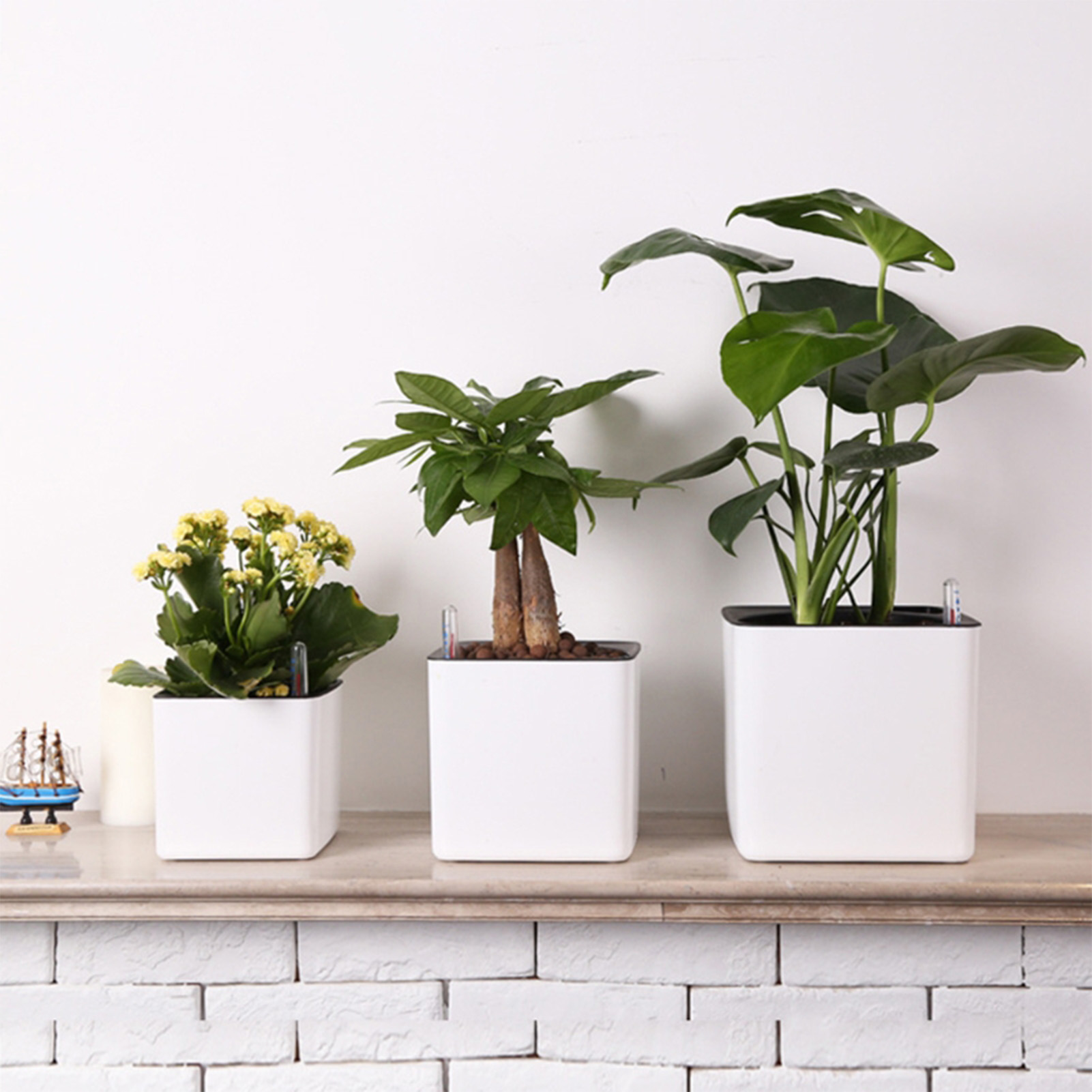 Automatic Self Watering Flower - Aloe Vera Pot ulasan dan harga