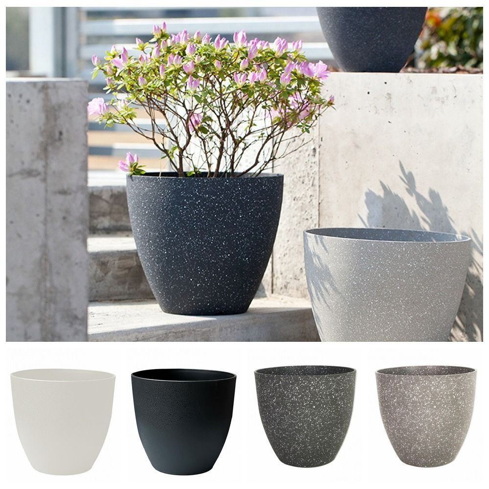 Frosted Imitation Stone Flower - Aloe Vera Pot ulasan dan harga