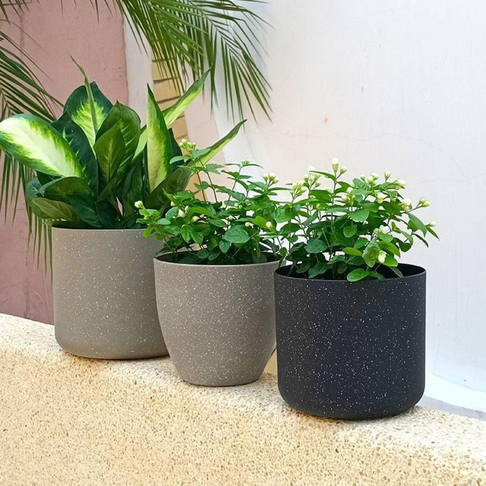 Frosted Imitation Stone Flower - Aloe Vera Pot ulasan dan harga