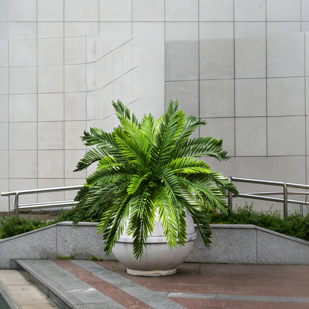 45cm Artificial Palm Plants Fa - Dracaena Marginata ulasan dan harga