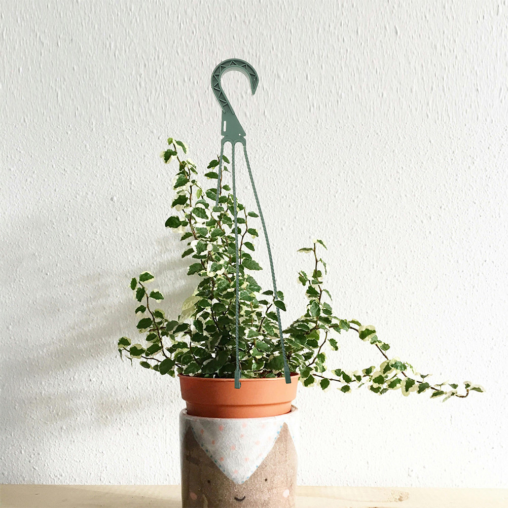 5Pcs Hanging Planter Hooks Set - Spider Plant Hanging ulasan dan harga