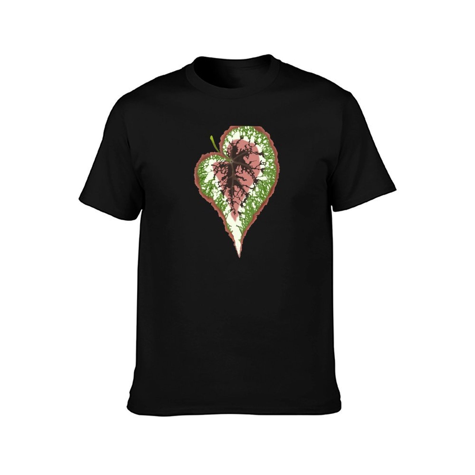 Begonia Rex T-Shirt Basic Simp - Begonia Rex ulasan dan harga