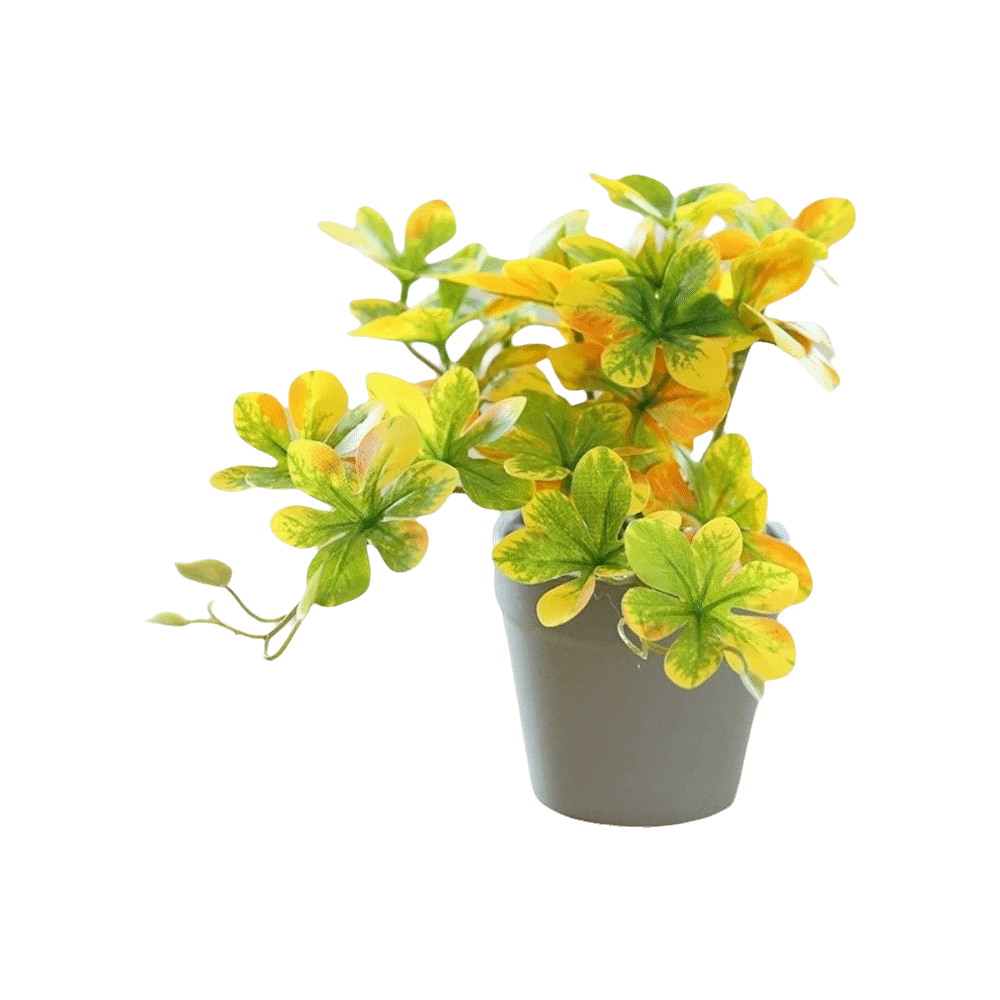 Bonsai Artificial Bonsai Plant - Spider Plant Hanging ulasan dan harga