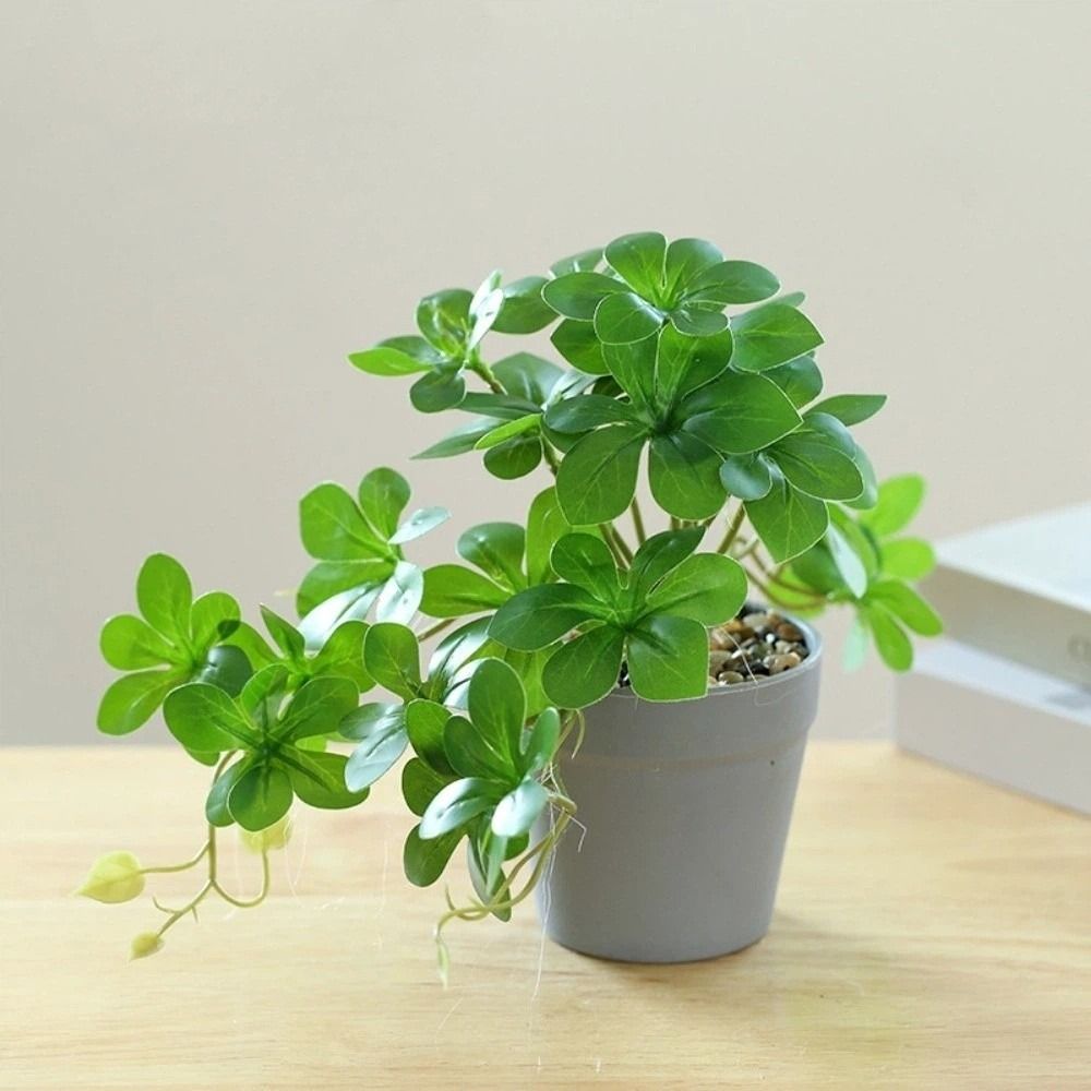 Bonsai Artificial Bonsai Plant - Spider Plant Hanging ulasan dan harga