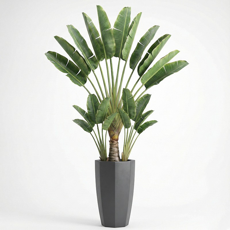 High-Simulation Plastic Fiddle - Ficus Lyrata Tree ulasan dan harga