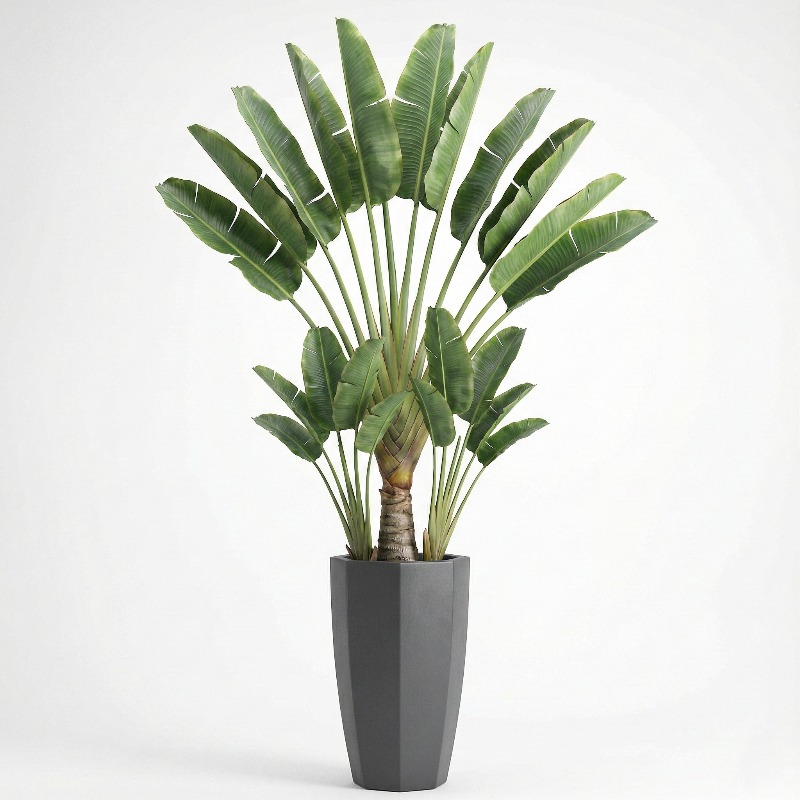 High-Simulation Plastic Fiddle - Ficus Lyrata Tree ulasan dan harga