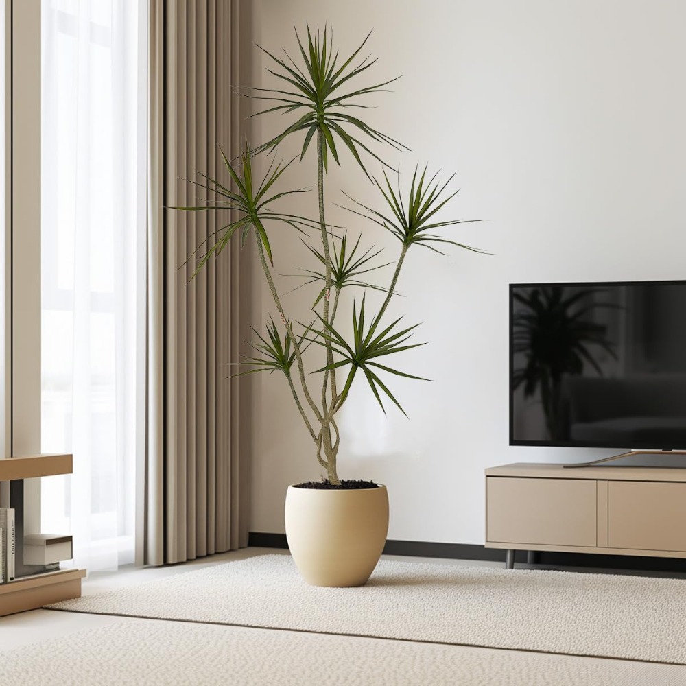 6ft Tall Artificial Dracaena M - Dracaena Marginata ulasan dan harga