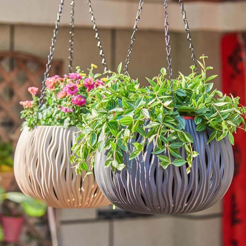 Hanging pot, plastic personali - Spider Plant Hanging ulasan dan harga
