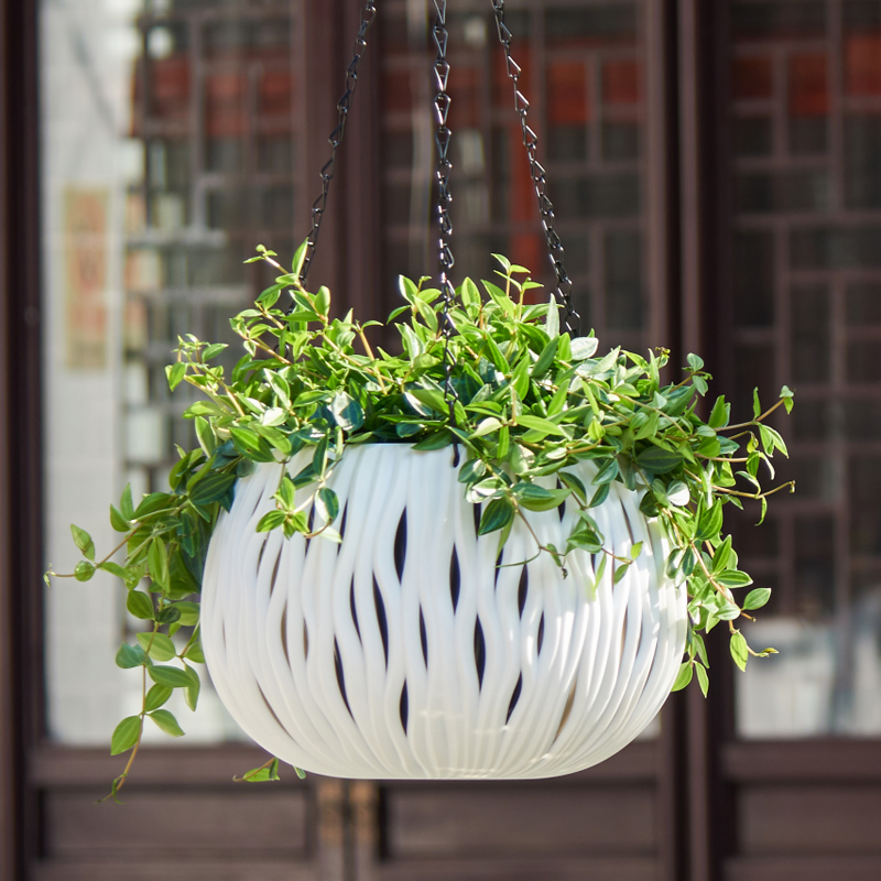 Hanging pot, plastic personali - Spider Plant Hanging ulasan dan harga