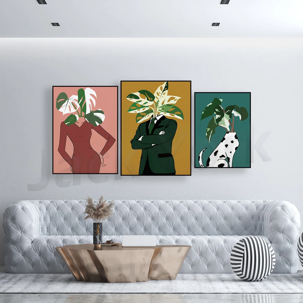 Monstera Albo in a burgundy dr - Monstera Adansonii ulasan dan harga