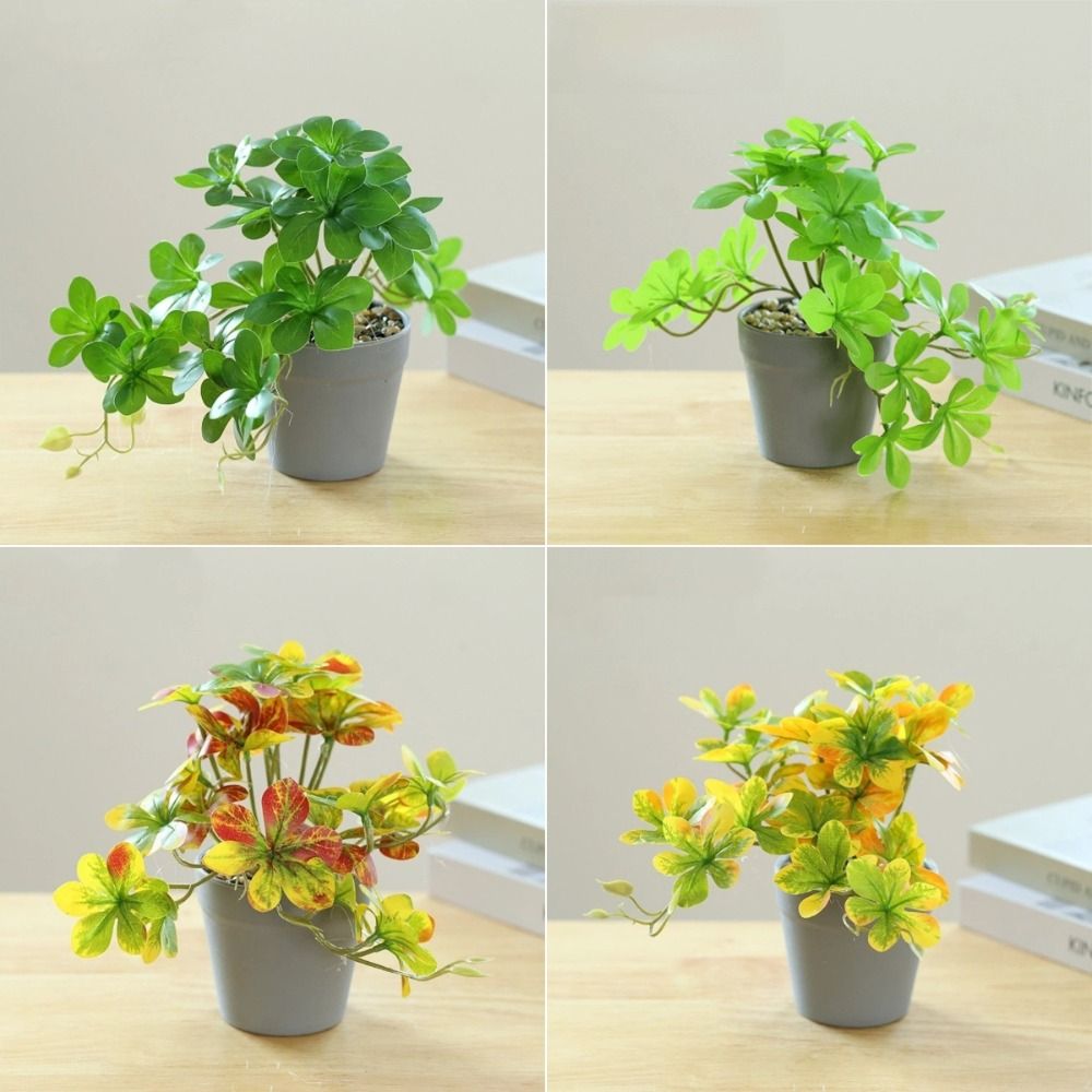 Bonsai Artificial Bonsai Plant - Spider Plant Hanging ulasan dan harga