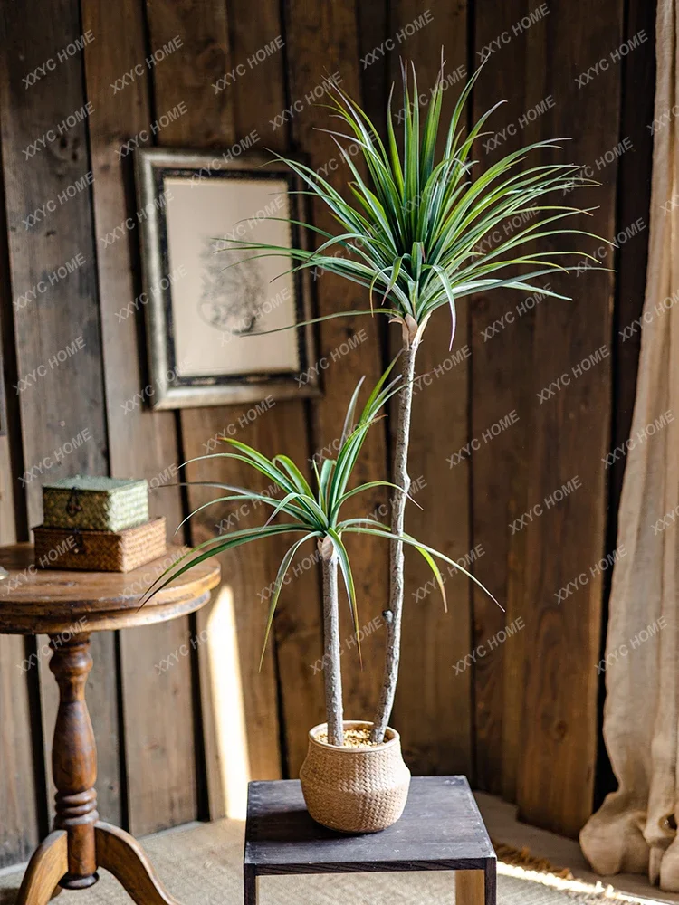 Light Luxury Simulation Green  - Dracaena Marginata ulasan dan harga