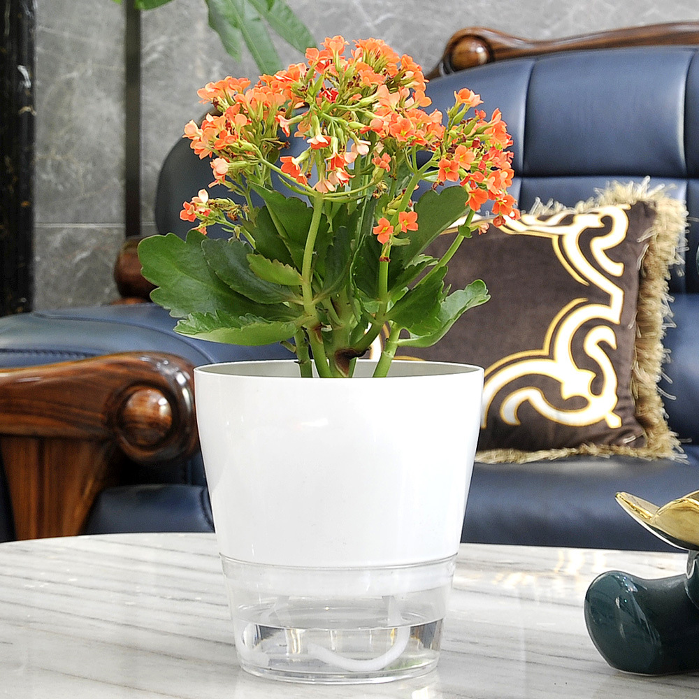 Lazy Flower with Drainage Hole - Aloe Vera Pot ulasan dan harga