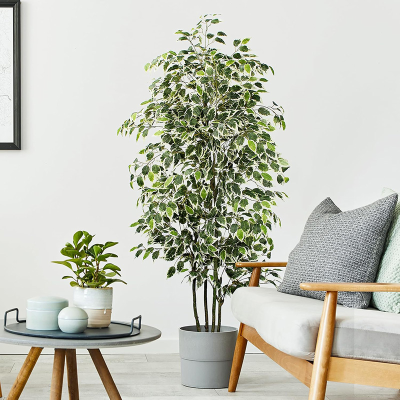70in Artificial Ficus Tree Fau - Ficus Lyrata Tree ulasan dan harga