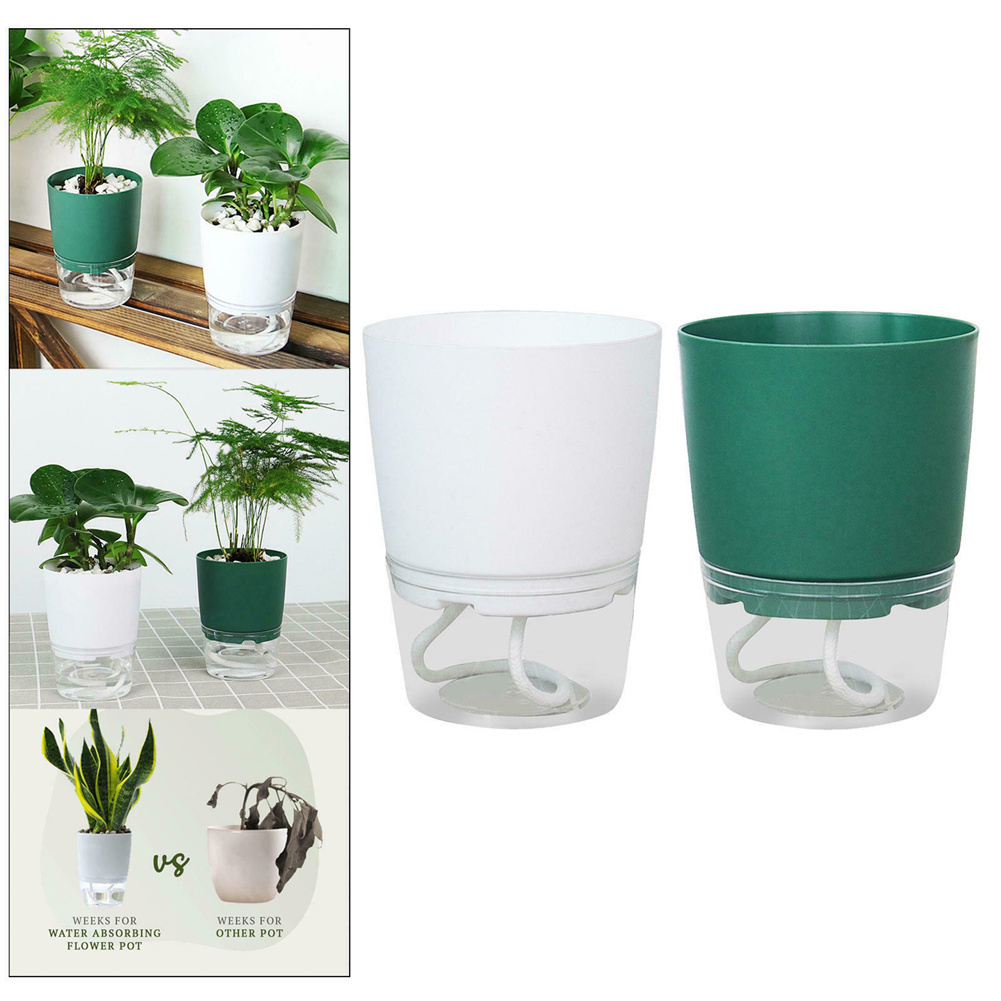 Lazy Hydroponic Flower Pot Aut - Aloe Vera Pot ulasan dan harga