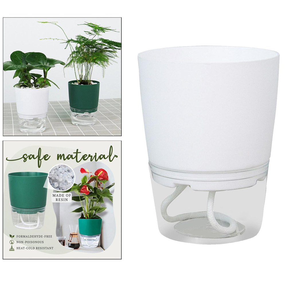 Lazy Hydroponic Flower Pot Aut - Aloe Vera Pot ulasan dan harga