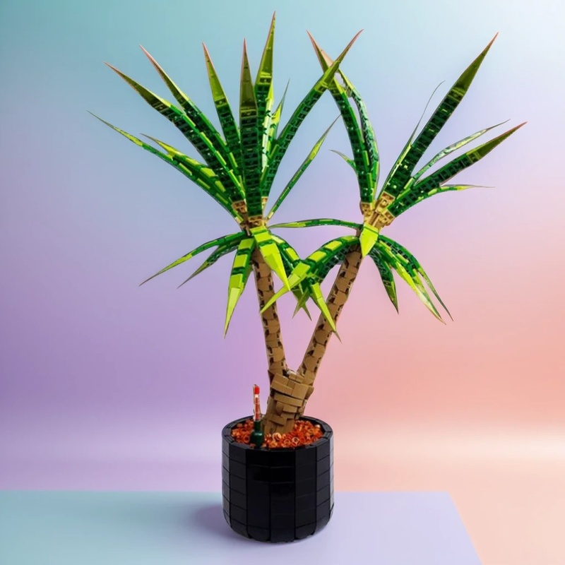1961pcs MOC Dracaena Marginata - Dracaena Marginata ulasan dan harga