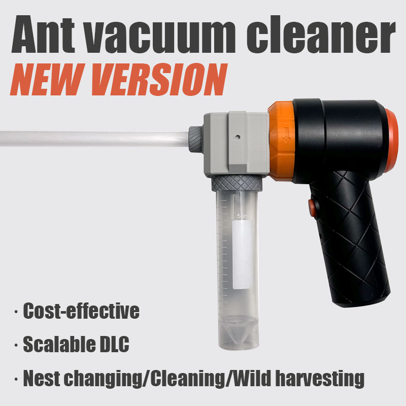 Ant Farm Collection Tool Ants  - Begonia Rex ulasan dan harga