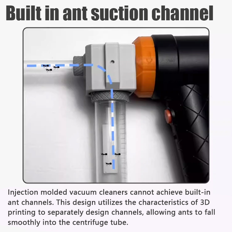 Ant Farm Collection Tool Ants  - Begonia Rex ulasan dan harga