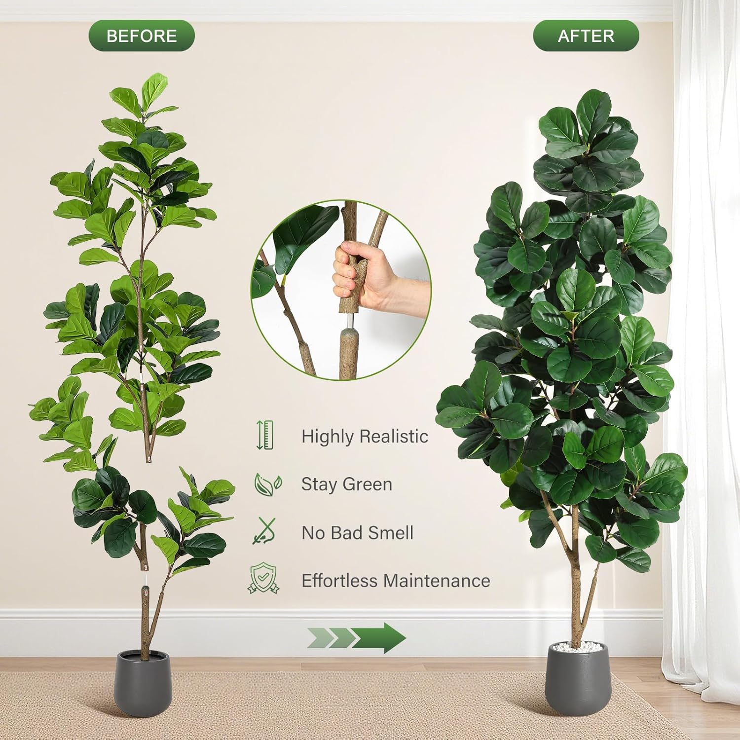 4FT/5FT/6FT/7FT Fiddle Leaf Fi - Ficus Lyrata Tree ulasan dan harga