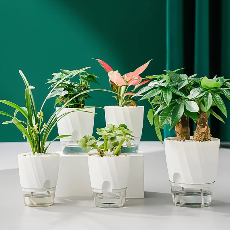 Lazy Hydroponic Flower Pot Aut - Aloe Vera Pot ulasan dan harga