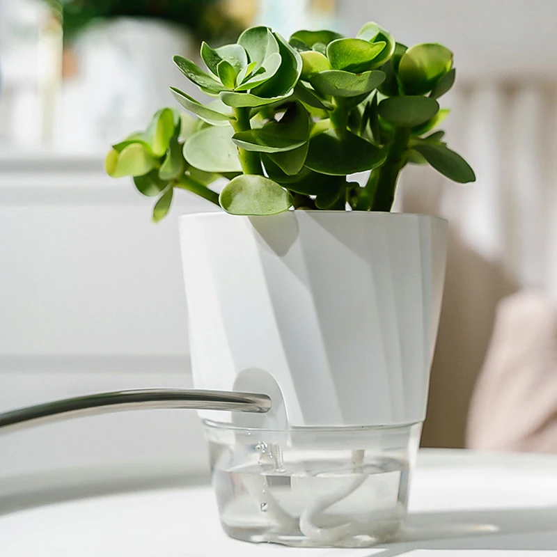 Lazy Hydroponic Flower Pot Aut - Aloe Vera Pot ulasan dan harga