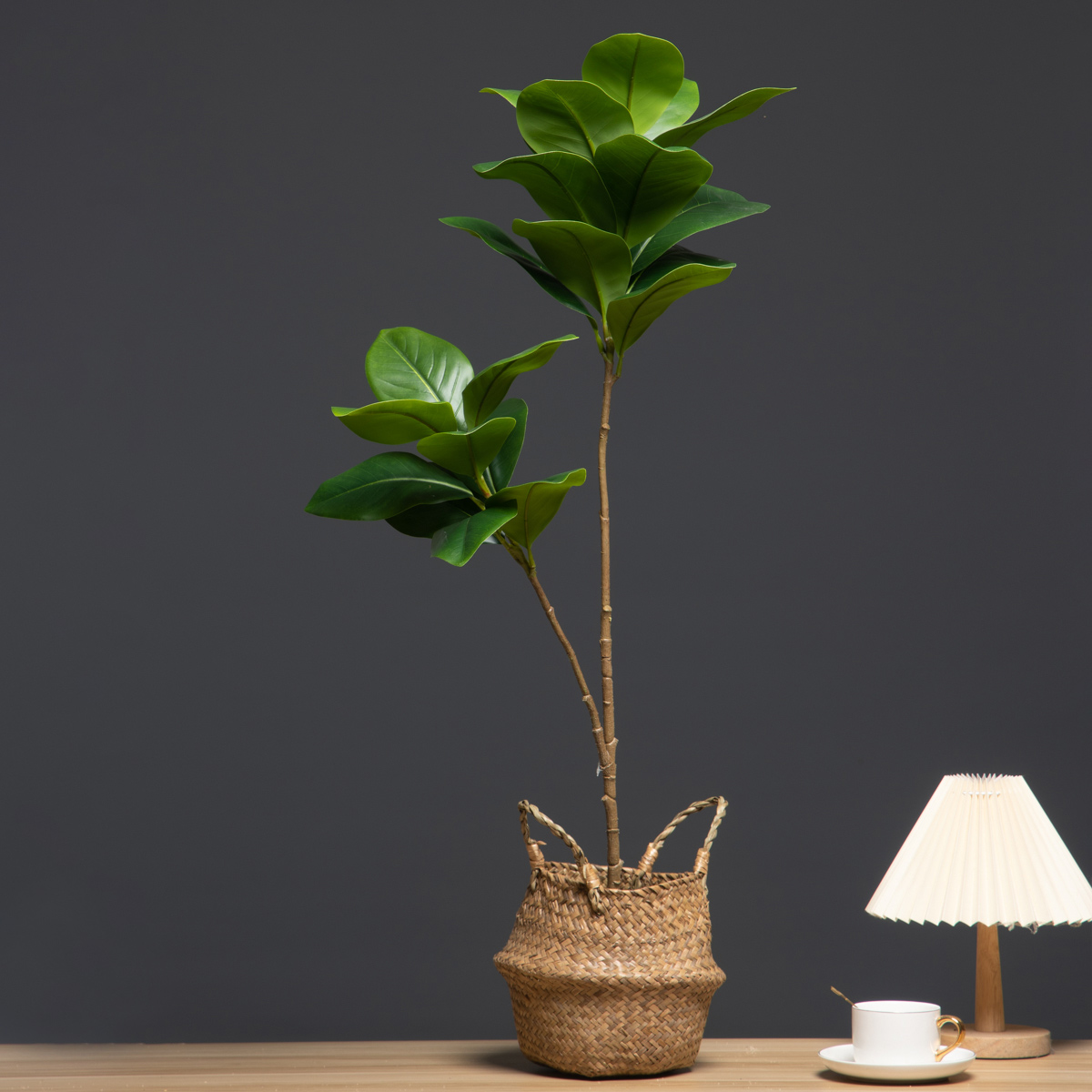 105cm 2 Forks Large Artificial - Dracaena Marginata ulasan dan harga