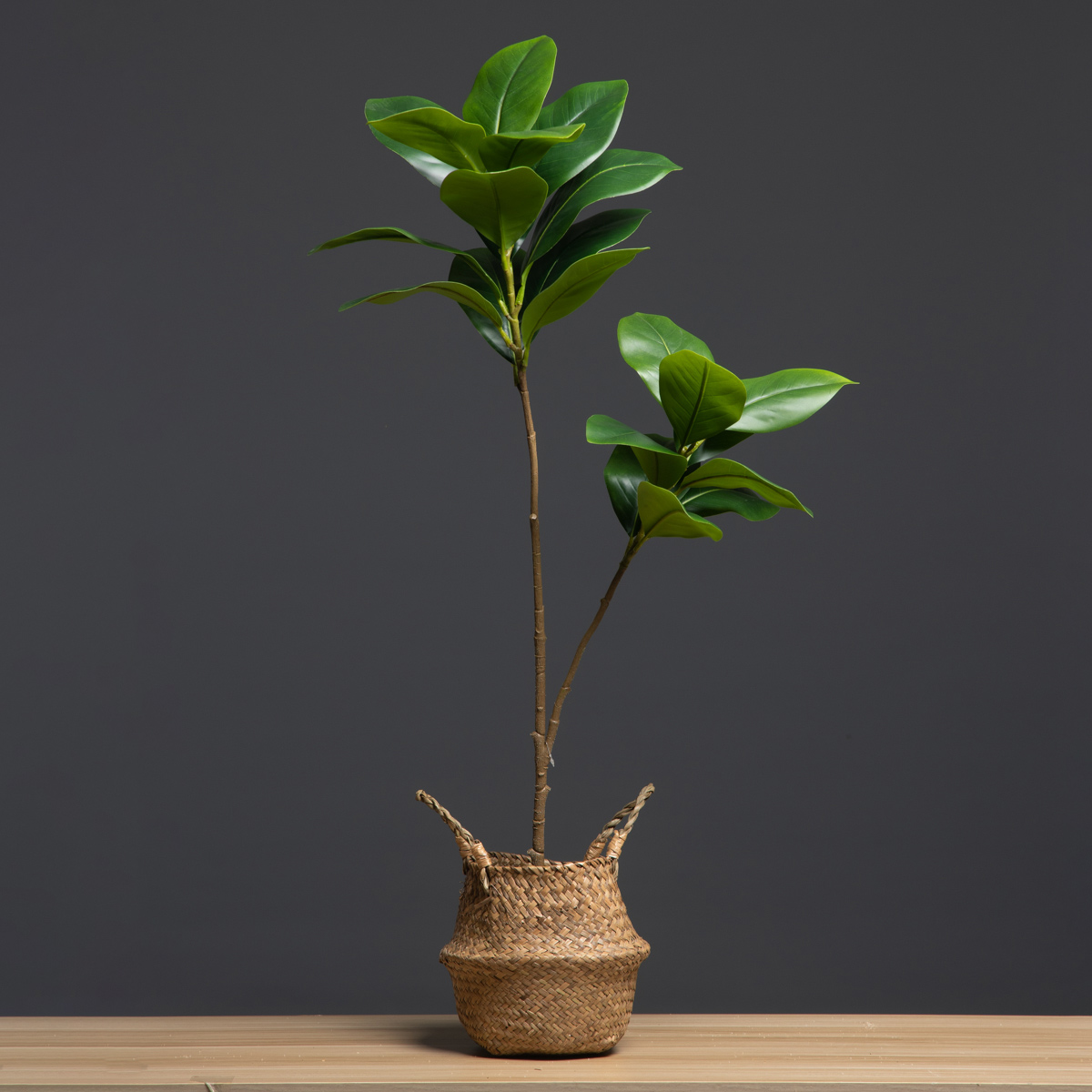 105cm 2 Forks Large Artificial - Dracaena Marginata ulasan dan harga