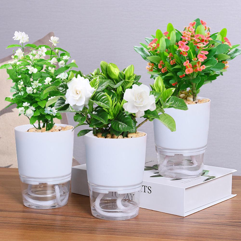 Self Watering Plastic Flower P - Aloe Vera Pot ulasan dan harga