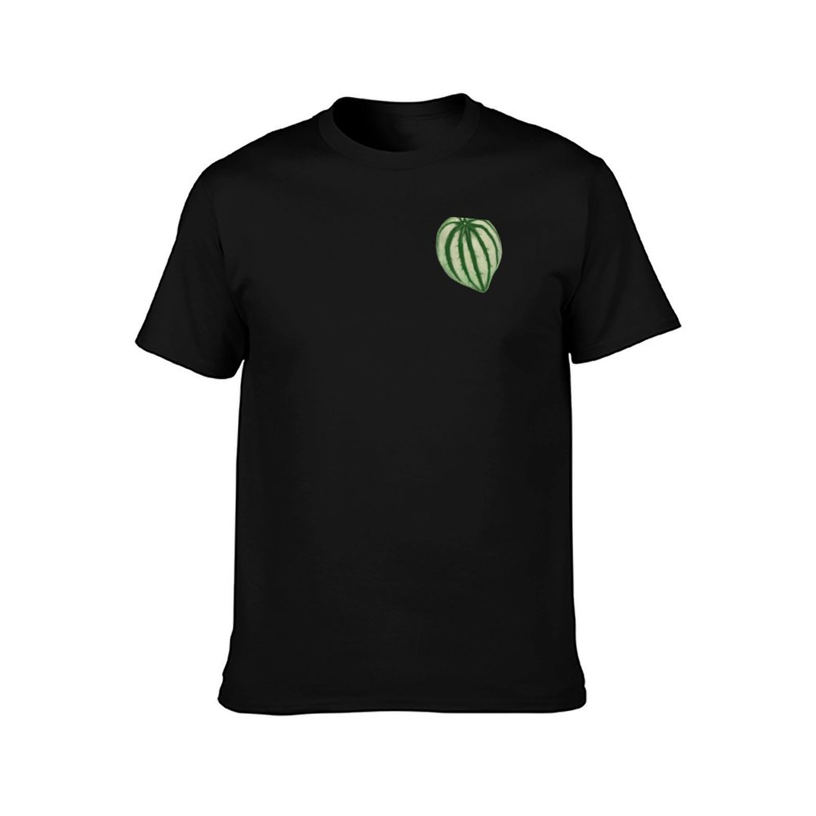 Watermelon Peperomia T-Shirt C - Peperomia Watermelon ulasan dan harga