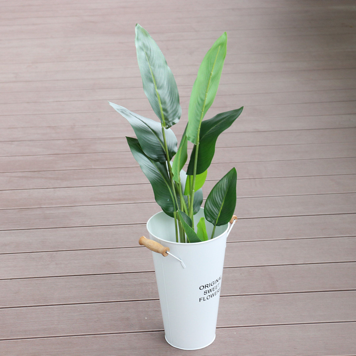 Wrought Iron Flower Vase Deskt - Aloe Vera Pot ulasan dan harga